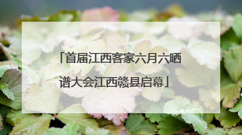 首届江西客家六月六晒谱大会江西赣县启幕