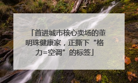 首进城市核心卖场的董明珠健康家，正撕下“格力=空调”的标签