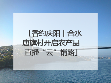 香约庆阳｜合水唐旗村开启农产品直播“云”销路