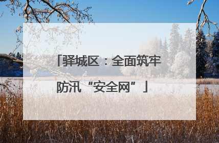 驿城区：全面筑牢防汛“安全网”