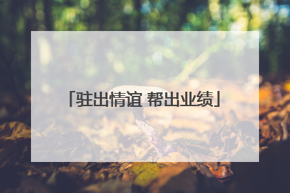 驻出情谊 帮出业绩