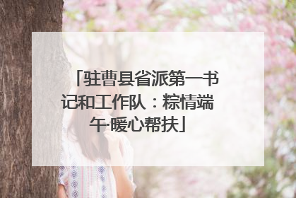 驻曹县省派第一书记和工作队：粽情端午·暖心帮扶