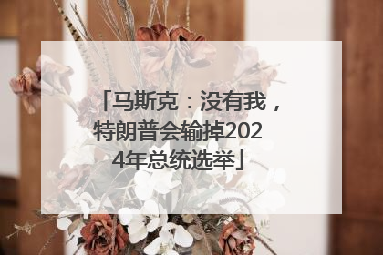 马斯克：没有我，特朗普会输掉2024年总统选举