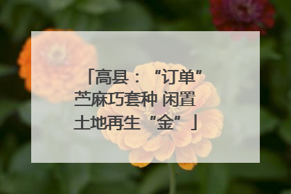 高县：“订单”苎麻巧套种 闲置土地再生“金”