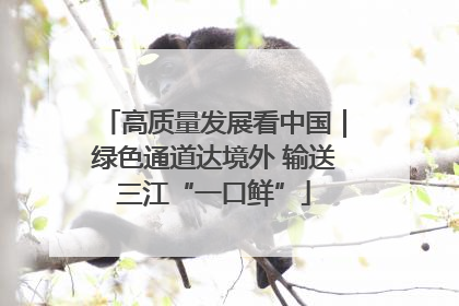 高质量发展看中国｜绿色通道达境外 输送三江“一口鲜”