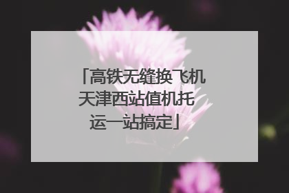 高铁无缝换飞机 天津西站值机托运一站搞定