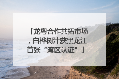 龙粤合作共拓市场，白桦树汁获黑龙江首张“湾区认证”