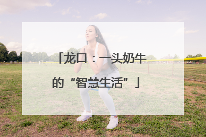 龙口：一头奶牛的“智慧生活”