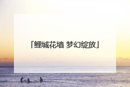 鲤城花墙 梦幻绽放