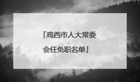 鸡西市人大常委会任免职名单