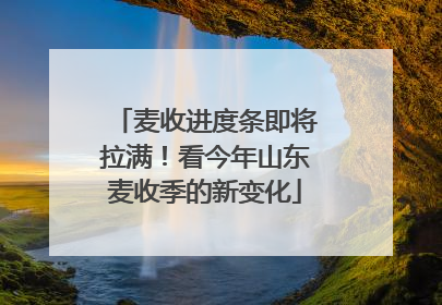 麦收进度条即将拉满！看今年山东麦收季的新变化