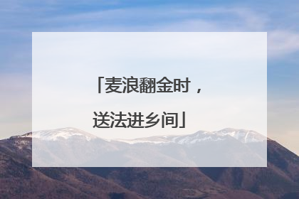 麦浪翻金时，送法进乡间