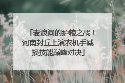 麦浪间的护粮之战！河南封丘上演农机手减损技能巅峰对决