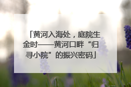 黄河入海处，庭院生金时——黄河口畔“归寻小院”的振兴密码