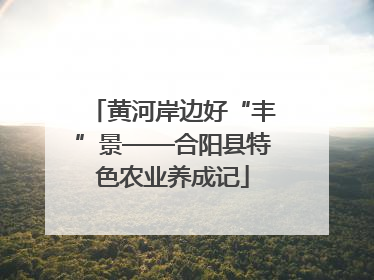 黄河岸边好“丰”景——合阳县特色农业养成记