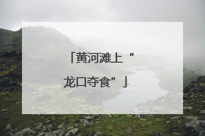 黄河滩上“龙口夺食”