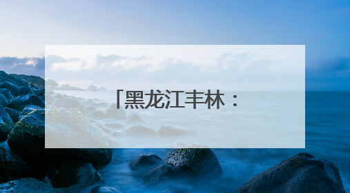 黑龙江丰林：杜鹃花海引游人 “花经济”助推文旅新热潮
