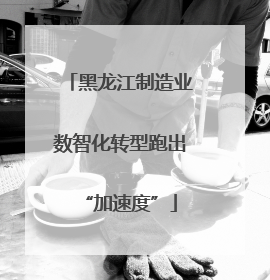 黑龙江制造业数智化转型跑出“加速度”