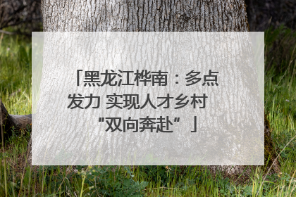 黑龙江桦南：多点发力 实现人才乡村“双向奔赴”