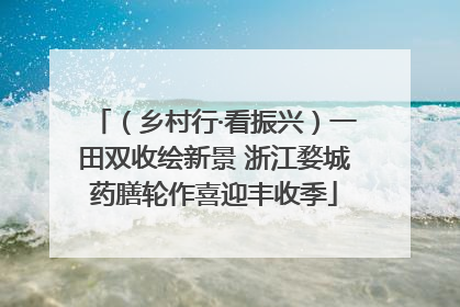 （乡村行·看振兴）一田双收绘新景 浙江婺城药膳轮作喜迎丰收季