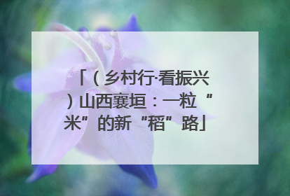 （乡村行·看振兴）山西襄垣：一粒“米”的新“稻”路