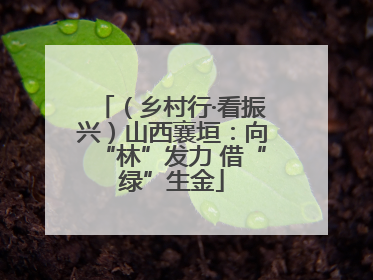 （乡村行·看振兴）山西襄垣：向“林”发力 借“绿”生金