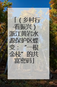 （乡村行·看振兴）浙江黄岩水源保护区蝶变：“一根金枝”的共富密码
