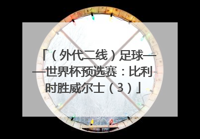 （外代二线）足球——世界杯预选赛：比利时胜威尔士（3）