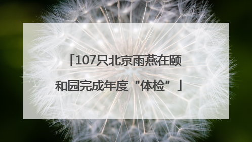 107只北京雨燕在颐和园完成年度“体检”