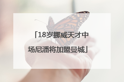 18岁挪威天才中场尼潘将加盟曼城