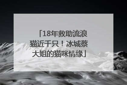 18年救助流浪猫近千只！冰城蔡大姐的猫咪情缘