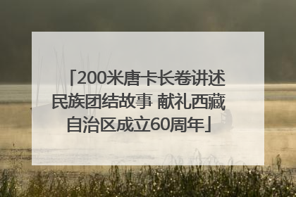 200米唐卡长卷讲述民族团结故事 献礼西藏自治区成立60周年