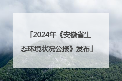 2024年《安徽省生态环境状况公报》发布