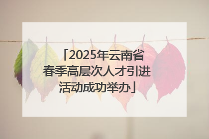2025年云南省春季高层次人才引进活动成功举办