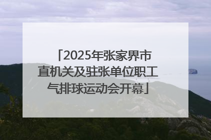 2025年张家界市直机关及驻张单位职工气排球运动会开幕