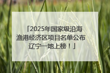 2025年国家级沿海渔港经济区项目名单公布 辽宁一地上榜！