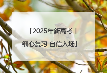 2025年新高考丨细心复习 自信入场