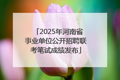 2025年河南省事业单位公开招聘联考笔试成绩发布