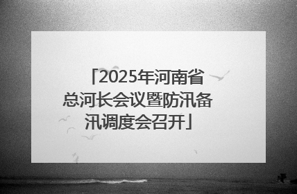 2025年河南省总河长会议暨防汛备汛调度会召开