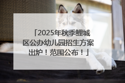2025年秋季鲤城区公办幼儿园招生方案出炉！范围公布！