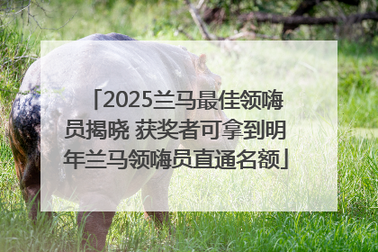 2025兰马最佳领嗨员揭晓 获奖者可拿到明年兰马领嗨员直通名额