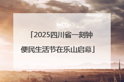 2025四川省一刻钟便民生活节在乐山启幕