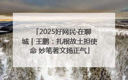2025好网民·在聊城｜王鹏：扎根故土担使命 妙笔著文扬正气