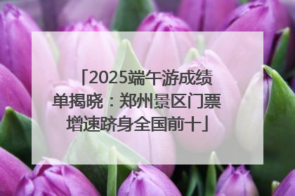 2025端午游成绩单揭晓：郑州景区门票增速跻身全国前十