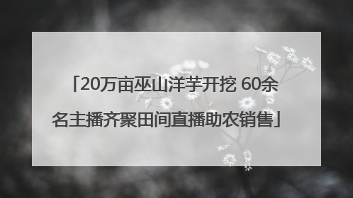 20万亩巫山洋芋开挖 60余名主播齐聚田间直播助农销售