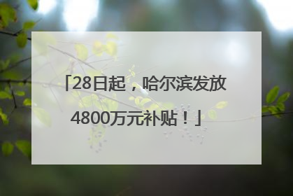 28日起，哈尔滨发放4800万元补贴！