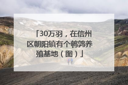 30万羽，在信州区朝阳镇有个鹌鹑养殖基地（图）