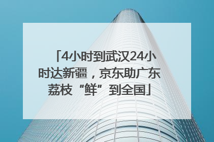 4小时到武汉24小时达新疆，京东助广东荔枝“鲜”到全国