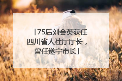 75后刘会英获任四川省人社厅厅长，曾任遂宁市长