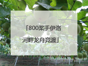 800桨手伊洛河畔龙舟竞渡